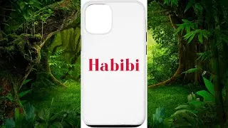 Miniature : Habibi, mon bien-aimé en arabe, romantique, aime la culture arabe