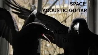 Miniature : DARKOUSTIC 03 | Pascal Denancy | ♡ SON PLANANT, MUSIQUE DÉTENTE 2026 AMBIENT 
