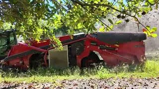 Miniature : R23 MACADAMIA, largest harvesting machine in Australia