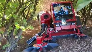 Miniature : Recolectora de avellanas X16 en Chile | 1 hectárea por hora