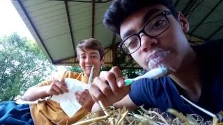 Miniature : TUTO#1 : COMMENT SE BROSSER LES DENTS !
