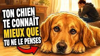 Miniature : 10 choses troublantes que votre chien sait sur vous 👀