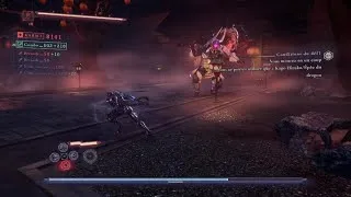 Miniature : Ninja Gaiden 4 : Epreuve combat n°9 (no hit).