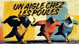 Miniature : Un aigle chez les poules - métaphore qui pique la curiosité des possible