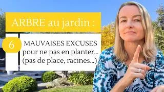 Miniature : 🌳 Arbre au jardin : 6 MAUVAISES EXCUSES (pas de place,racines…) pour ne pas planter…