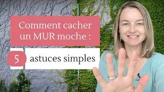 Miniature : Comment cacher un mur moche dans le jardin : 5 astuces simples