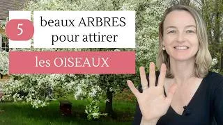 Miniature : 5 arbres pour attirer les oiseaux : ma sélection de paysagiste (beaux et utiles !)