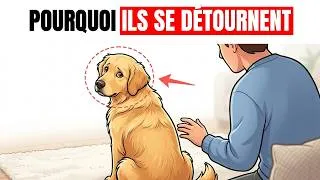 Miniature : Quand votre chien s'assied dos à vous, ça signifie CECI
