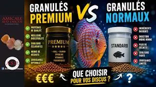 Miniature : Granulés PREMIUM ou NORMAUX pour Discus ? Le vrai du faux !