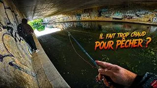 Miniature : IL FAIT TROP CHAUD POUR PÊCHER ?!J'AI TROUVÉ OÙ SE CACHENT LES POISSONS !(ZAP)