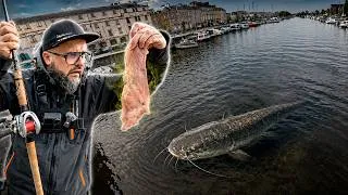Miniature : Cet APPÂT ÉTRANGE Attire les MONSTRES de la Rivière…