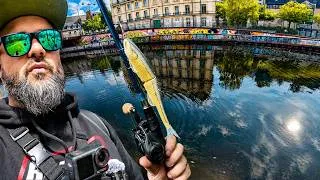 Miniature : LE RETOUR... Objectif brochet métré dans la rivière de mon enfance #1