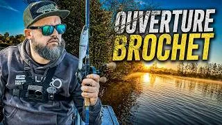 Miniature : BROCHET DIFFICILE à l’OUVERTURE… J’ai Trouvé LA STRATÉGIE !