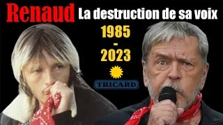 Miniature : Renaud : La destruction de sa voix