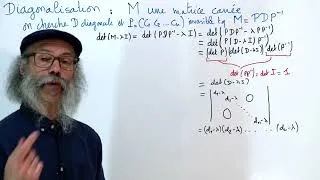 Miniature : ALGC8 : Diagonalisation des matrices carrées, de quoi s'agit-il au juste ?