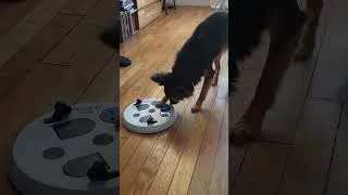 Miniature : Jeu de réflexion