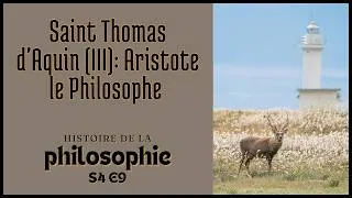 Miniature : Thomas d'Aquin (III): Aristote le Philosophe ⎮ Histoire de la philosophie, S4 E9