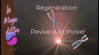 Miniature : Biophysique du "voltage Humain" : Le Protocole de Ré électrification Cellulaire🎇
