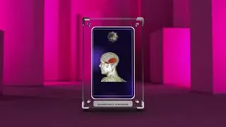 Miniature : Klüver Bucy Syndrome