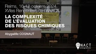 Miniature : Archéologie et interventions en milieux pollués :la complexité de l’évaluation des risques chimiques