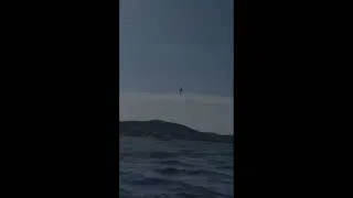 Miniature : Analyse à chaud : accident aérien FOUGA MAGISTER 16 AOUT 2024 - LAVANDOU - FRANCE