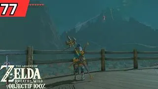 Miniature : QUETES ANNEXES EN ATTENDANT - The Legend of Zelda Breath of the Wild (100%) VOD #77