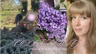 Miniature : Cosy Vlog de printemps 🪻Lilas et unboxing Miss Fauvine 🐭