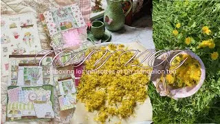 Miniature : Cosy Vlog 🌷Unboxing “Les infusettes” printemps, DIY Dandelion Tea 🌼