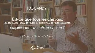 Miniature : [ASK ANDY] Est-ce que tous les chevaux apprennent au même rythme ?