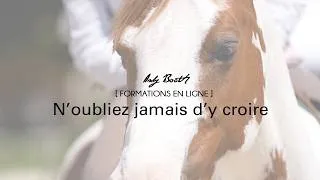 Miniature : [Formation en ligne] N'oubliez jamais d'y croire