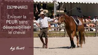Miniature : [SEMINAIRE] Enlever la peur sans désensibiliser le cheval