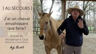Miniature : [AU SECOURS] Mon cheval est envahissant, que faire ?