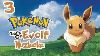 Miniature : Encore un peu de Nuzlocke