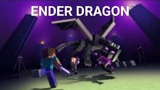 Miniature : Nous avons tué l'ender dragon ! (Minecraft)