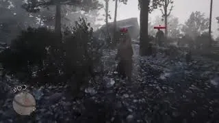 Miniature : MINI BEST OF (RED DEAD ONLINE)