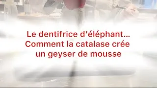 Miniature : Le dentifrice d’éléphant…Comment la catalase crée un geyser de mousse!