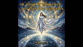 Miniature : "ok pour m'emmener aux iles des canaries" -  traditions chinois - vertion original -  A.N.G.E.L