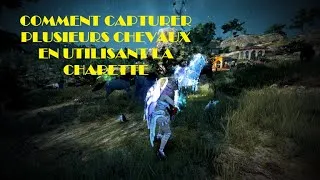 Miniature : BDO - GUIDE - Capturer plusieurs chevaux grâce à le wagon