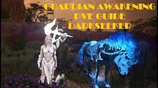 Miniature : BDO FR | Guardian PvE Awakening Guide for Darkseeker
