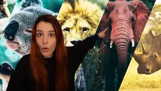 Miniature : FLOFLO PASSION TUNNEL SUR LES ANIMAUX