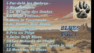 Miniature : ALBUM BLUES VOLUME 1 FR