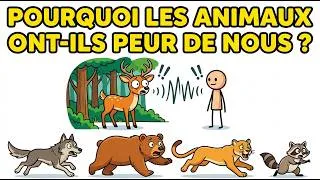Miniature : POURQUOI LES ANIMAUX ONT-ILS PEUR DE NOUS ?
