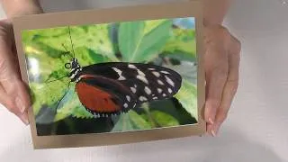 Miniature : Comment faire vos propres cartes de voeux