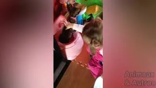 Miniature : Essayer De Ne Pas Rire - Compilation de chat #032 - Animaux & Autres
