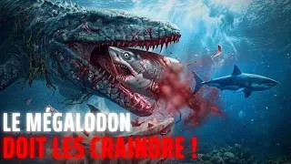 Miniature : Prédateurs des abysses ! Les mystères effrayants qui faisaient fuir le Mégalodon | Compilation