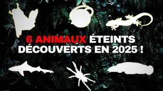 Miniature : Le Mystère des 6 Créatures Revenues d'Entre les Morts qui Stupéfient la Science !