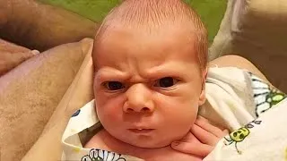 Miniature : Les bébés en colère qui sont si mignons et drôles que vous regarderez cette vidéo plusieurs fois