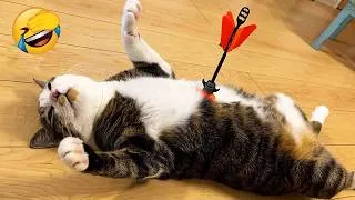 Miniature : Tu ris, tu perds 😂 Chats et chiens trop drôles 2026 😹🐶