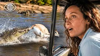 Miniature : Le Show des plus grands Prédateurs de Tanzanie ⎮Documentaire Safari⎮AMP