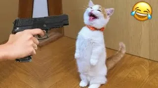 Miniature : Essayer De Ne Pas Rire 😂 Les Animaux Les Plus Drôles 😹🐶 Partie 10
